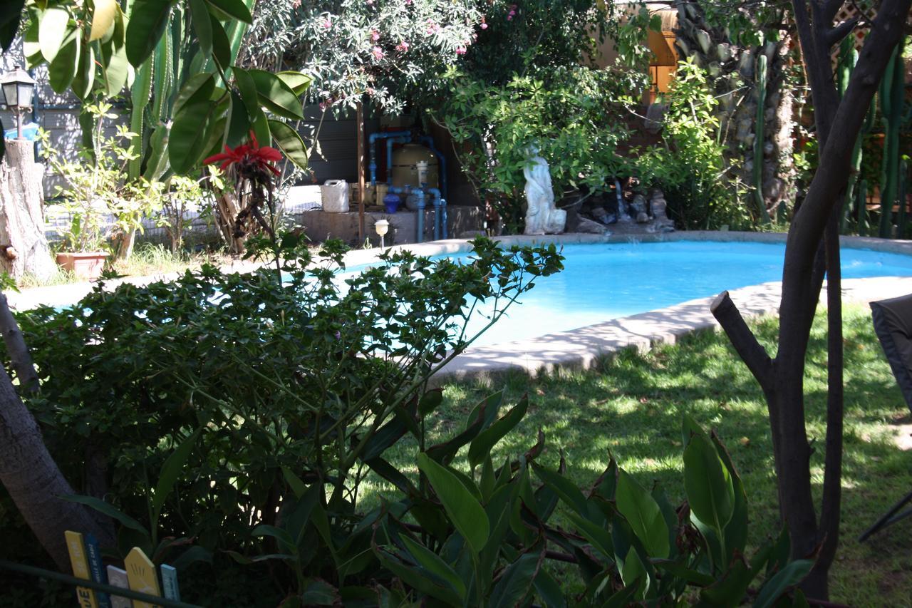 Copiapó Tikay Suite Hotel מראה חיצוני תמונה