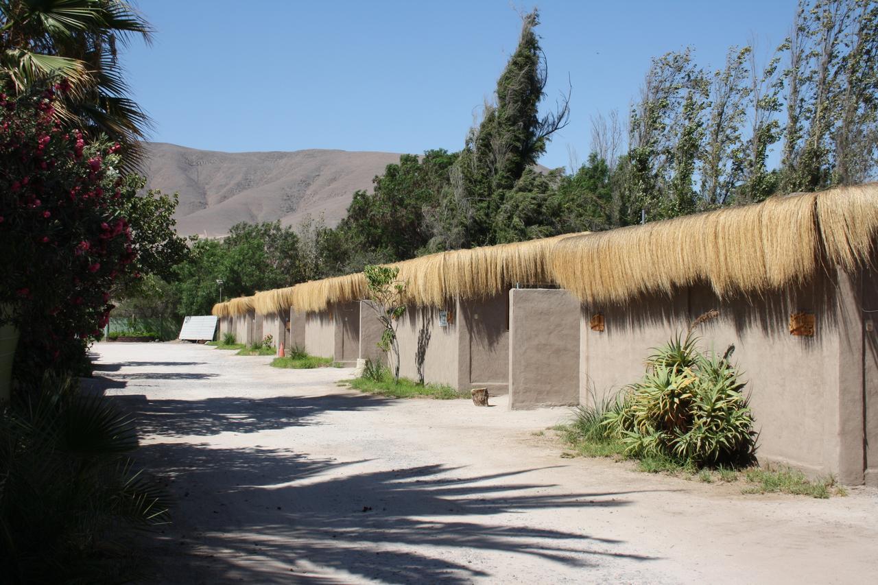 Copiapó Tikay Suite Hotel מראה חיצוני תמונה