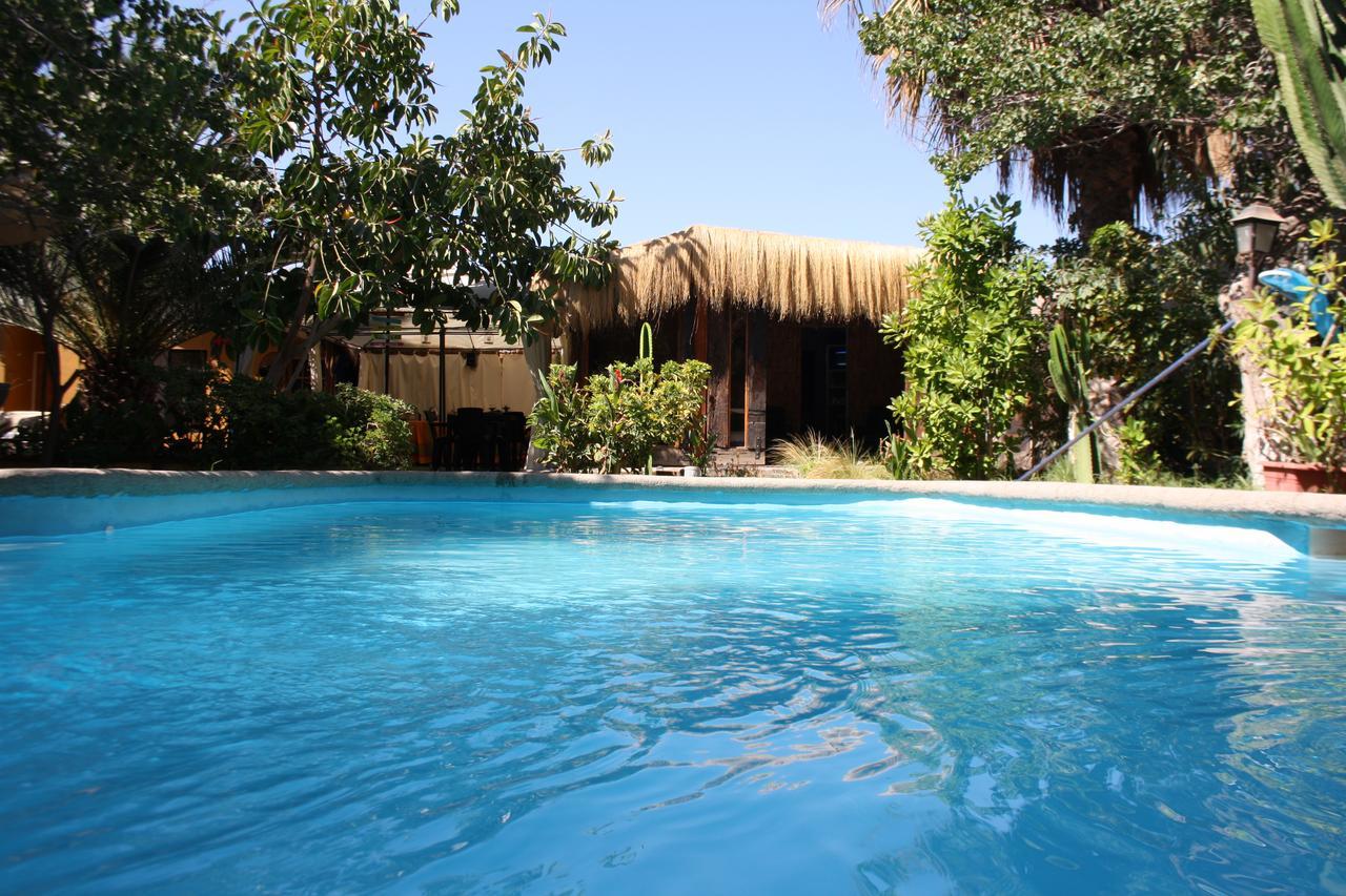 Copiapó Tikay Suite Hotel מראה חיצוני תמונה